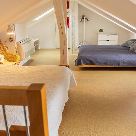 City Center Duplex Loft コルマール エクステリア 写真