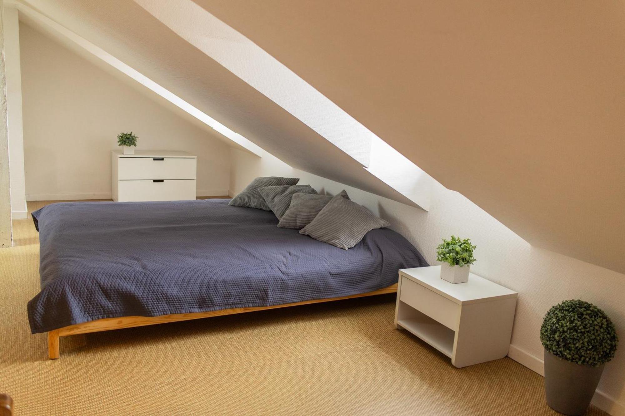 City Center Duplex Loft コルマール エクステリア 写真
